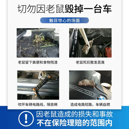 Автомобильная крыса Репеллент сильно выводит крыс в автомобиле, что делать, если в автомобильной крысе есть крыса F Rat Fain Smell