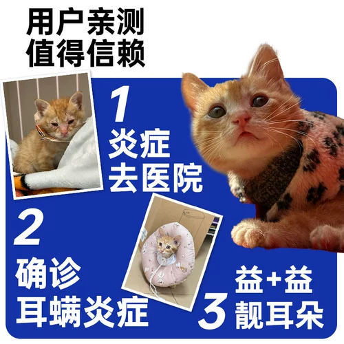 Aolong Yilin Catal Cat Ears Mittal Mittal Eurry Ellavidal Aurbulous Manwobulmeal Окно