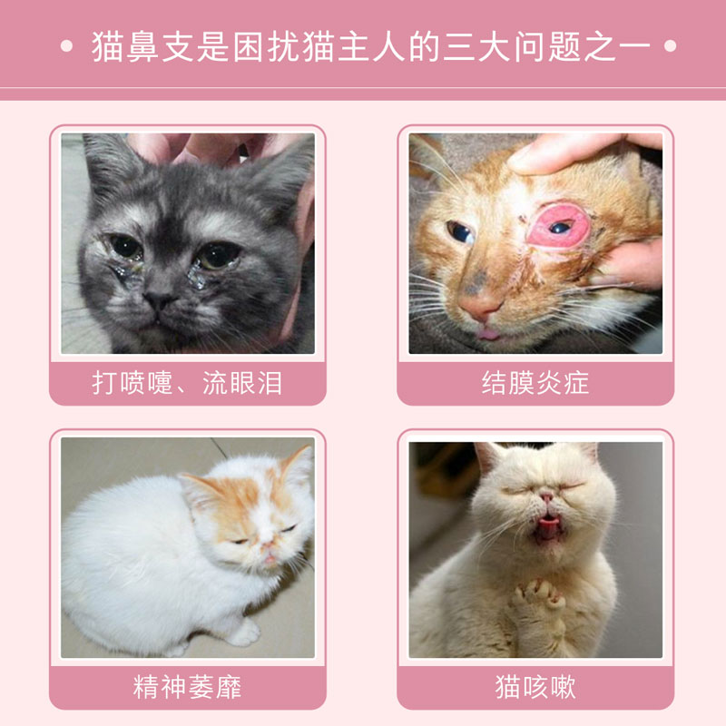 美尼喵猫胺猫咪感冒日本猫鼻支赖氨酸猫氨用调护打喷嚏流眼泪安粉 - 图1