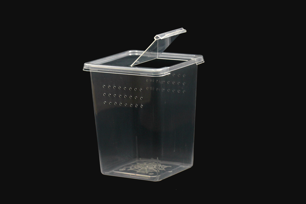 螳螂饲养罐螳螂苗子饲养盒小号跳蛛饲养盒店家手工自制酱料杯,淘宝优惠券,粉丝福利购,淘宝优惠卷