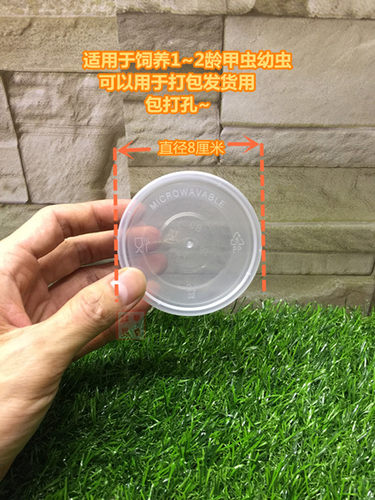 甲虫独角仙锹甲兜虫等幼虫饲养盒100ml布丁盒打包装发货用 PP材质 - 图1