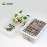 DIY -коробка DIY DIY может вылучать яйца черепах, оплодотворенные яйца, детский научный экспериментальный пакет материалов, маленькая домашняя черепаха