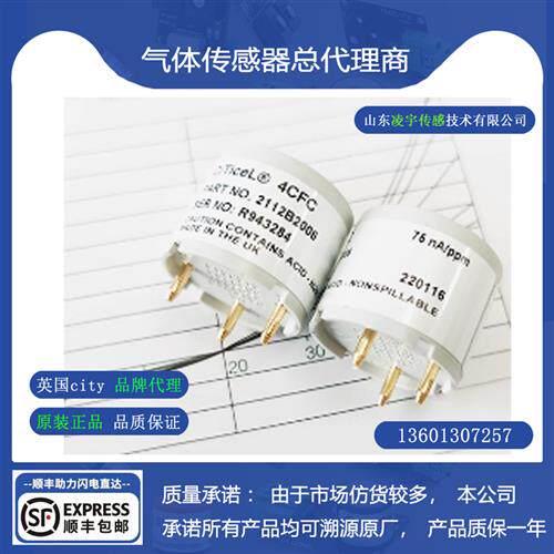 4HSC硫化氢气体传感器4CFC一氧化碳4OXV氧气2112B2026仪表维修BW - 图1