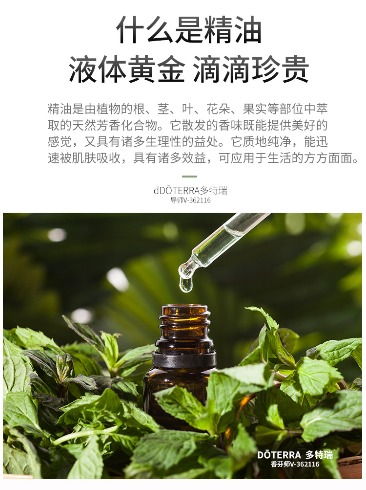 多特瑞精油官方旗舰店美国官网doTERRA安定情绪复方香薰舒缓按摩 - 图2