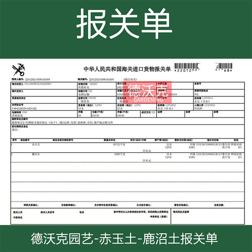 硬质鹿沼土原装日本进口颗粒整包装多肉植物铺面兰花杜鹃酸性盆景 - 图1