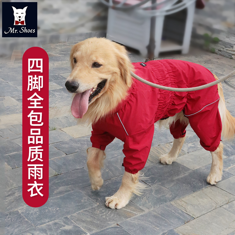 狗狗衣服春夏边牧雨衣四脚全包中大型犬衣服宠物衣服金毛狗狗雨衣-图1