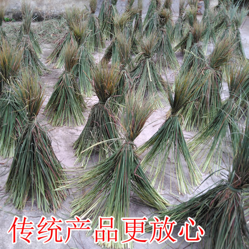 野生香茅草坐月子洗澡专用品种传统产妇产后泡澡药包洗头满月发汗 - 图2