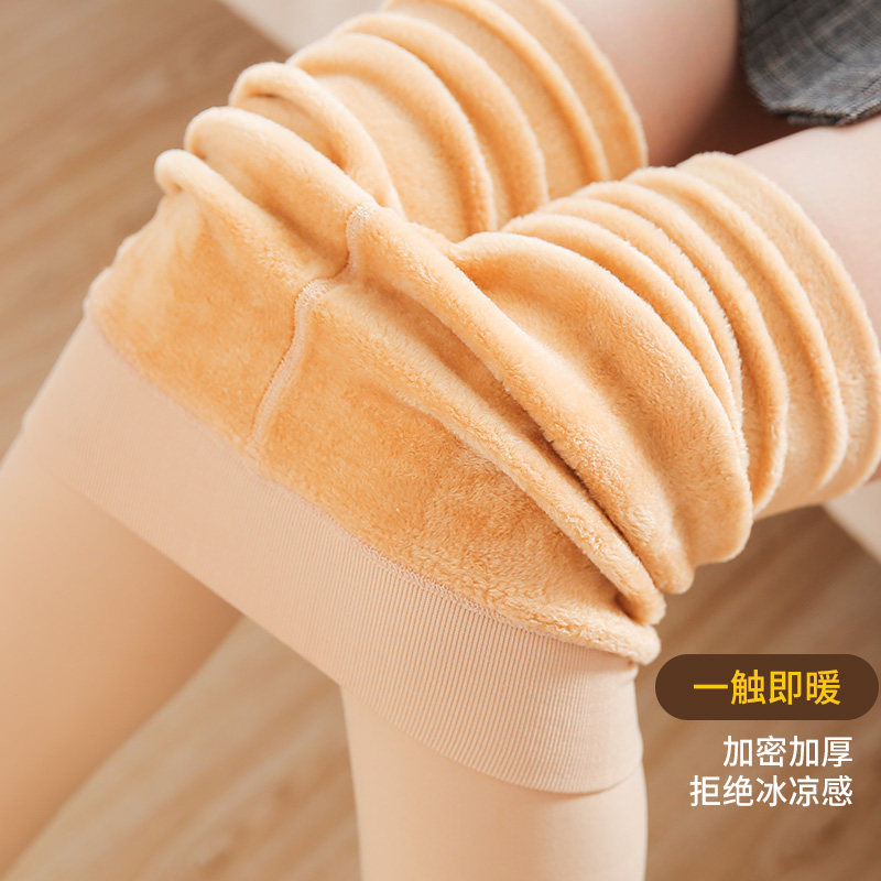  蝶安芬连裤袜/打底袜