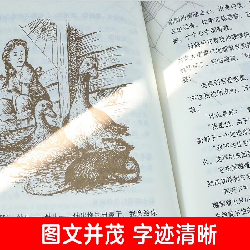 夏洛的网 正版小学生版8-9-12岁儿童文学四五六年级书籍非注音版三年级下册非必读的课外书目夏洛特的网贾里小时候 上海译文出版社,淘宝优惠券,粉丝福利购,淘宝优惠卷