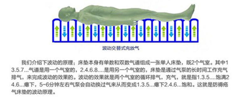 好怡生A01褥疮充气床垫老人护理垫波动喷气型-图1