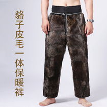 Americas raccoon leather fur integrated leather pants men middle aged winter plus suede thickened windproof and warm leather cotton pants