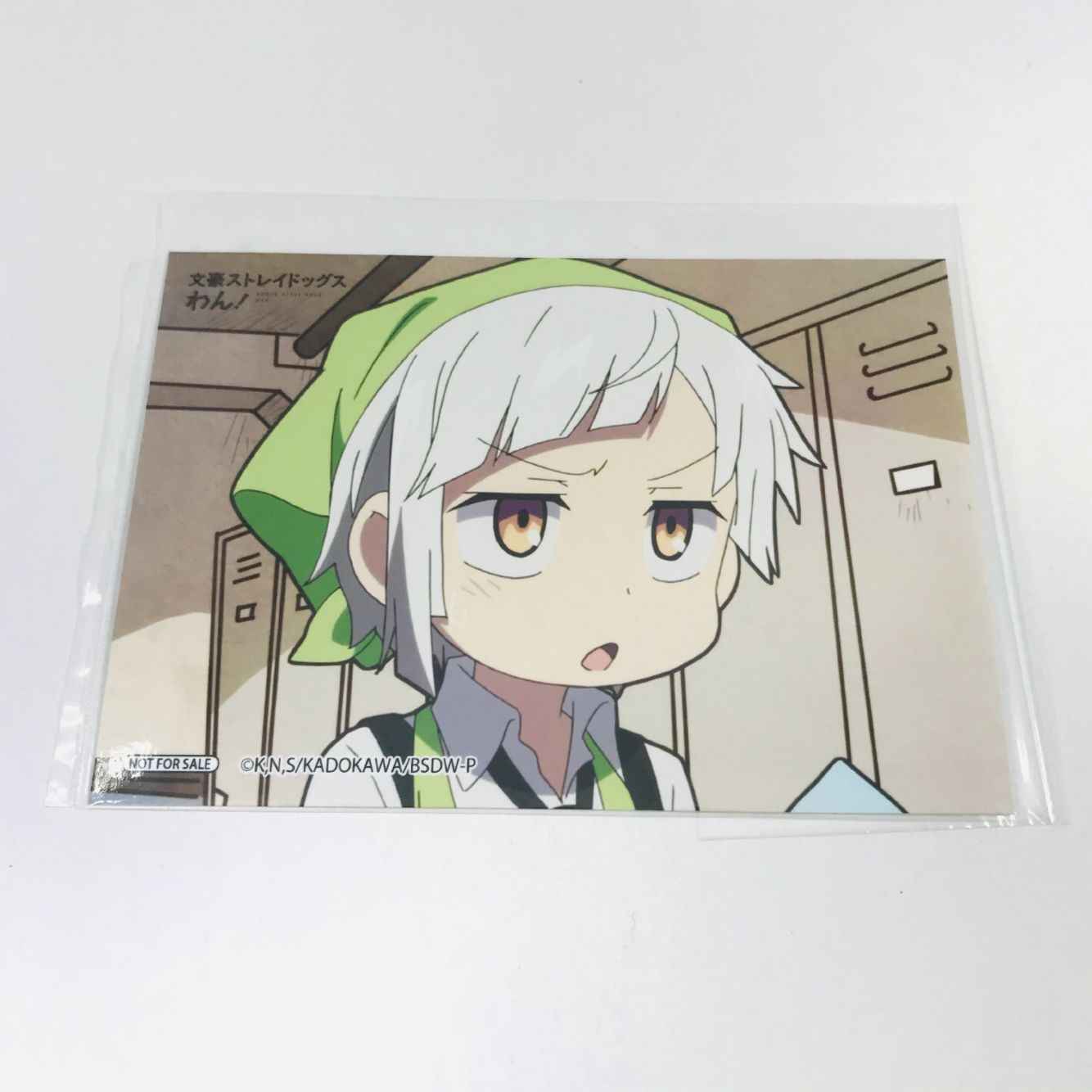 家庭教师相卡 新人首单立减十元 21年12月 淘宝海外