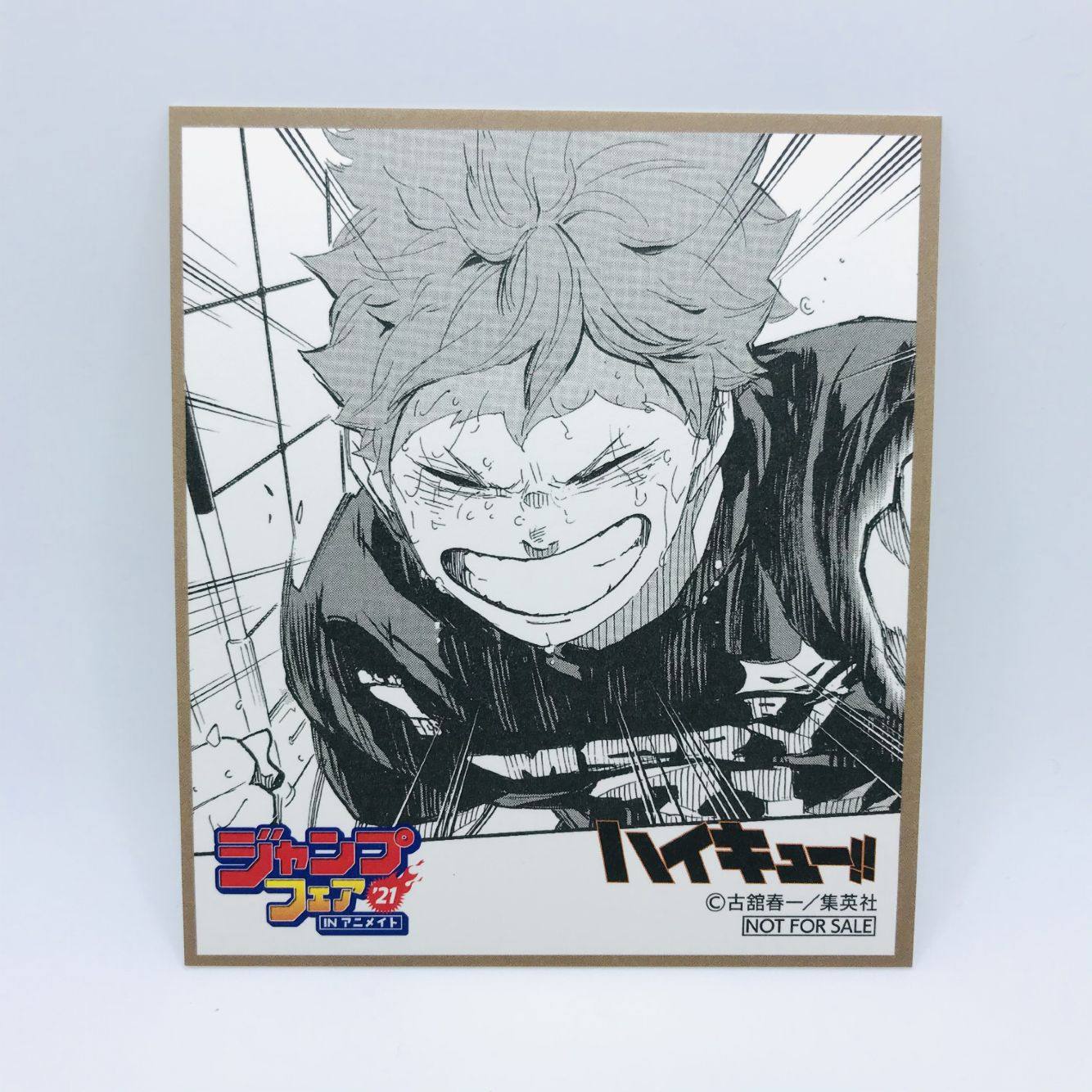 排球少年色纸推荐品牌 新人首单立减十元 21年6月 淘宝海外