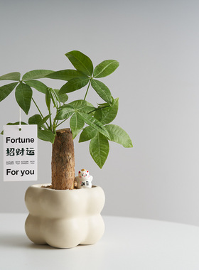 发财树创意客厅办公室内盆栽绿植摆件懒人好养植物花卉趣味桌面