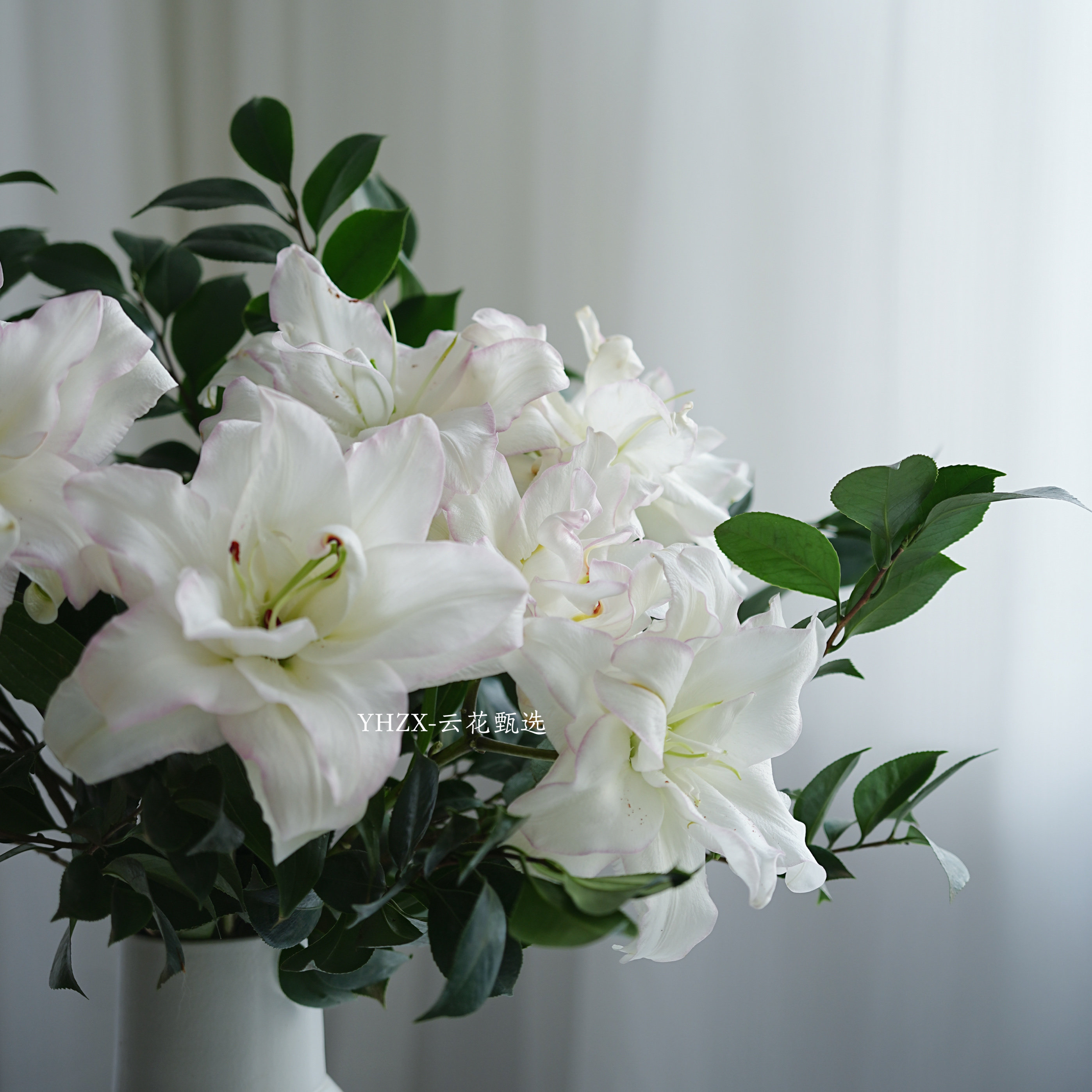 【云花甄选】山茶叶重瓣百合鲜花家庭装饰有香味水养情人节礼物