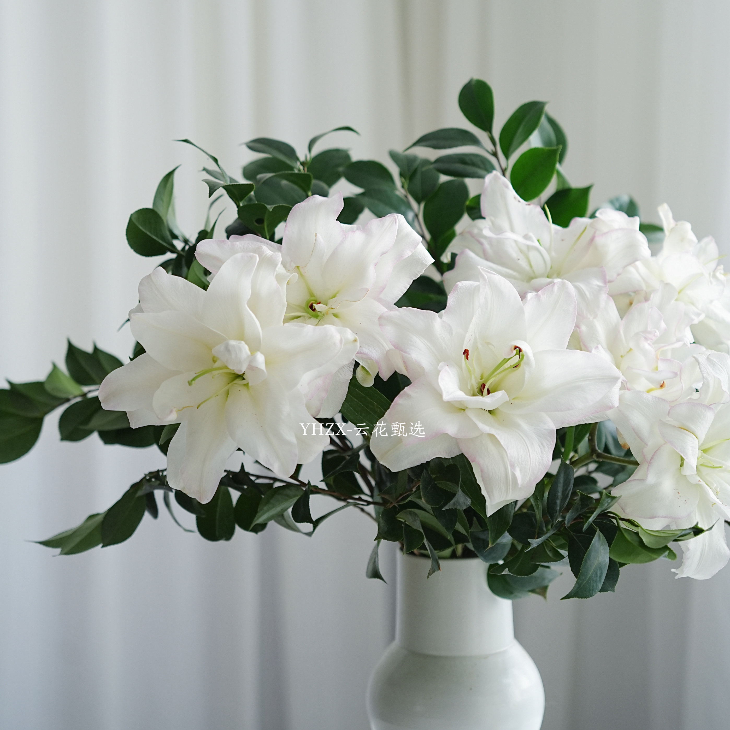 【云花甄选】山茶叶重瓣百合鲜花家庭装饰有香味水养情人节礼物