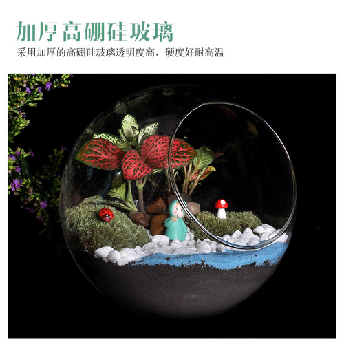 （团体搭配套餐）微景观生态玻璃瓶多肉苔藓DIY材料包件套餐活动 - 图1