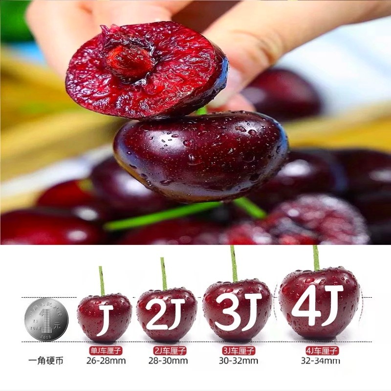 4j智利车厘子5斤新鲜水果应季孕妇整箱进口特大果樱桃礼盒顺丰5j,淘宝优惠券,粉丝福利购,淘宝优惠卷