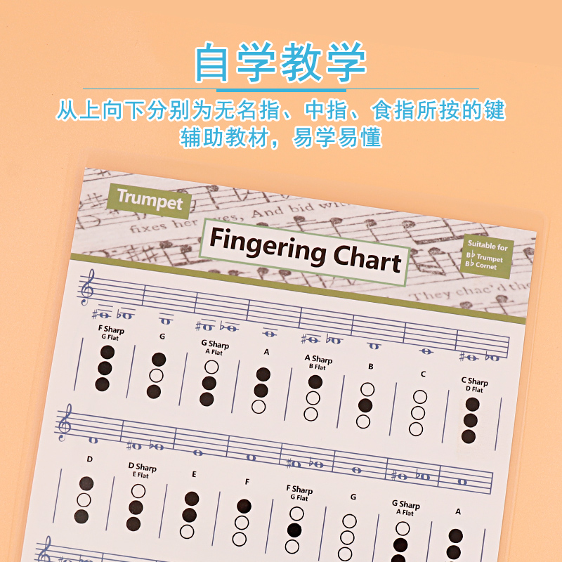 青歌XH09小号和弦谱Trumpet Chart Chord小号和弦指法图练习图 - 图2