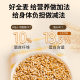 Whole wheat flour with wheat bran multigrain hard red wheat bread