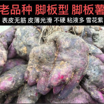 Guangxi Fresh Freshly Excavated Feet of Potato Yam Purple Yurai Mountain Purple Potato Sugar Water Powder Glutinous and Sweet Potato 5 3 Catties 5 Catty