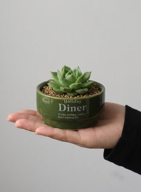 创意陶瓷多肉花盆桌面摆件