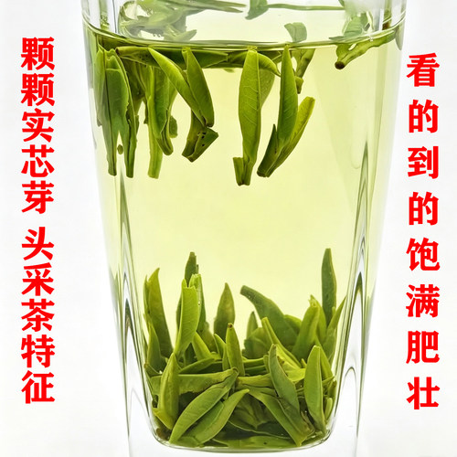 头采雀舌绿茶茶叶特级2026新茶春茶散装雅安蒙顶山茶礼盒装250g - 图1