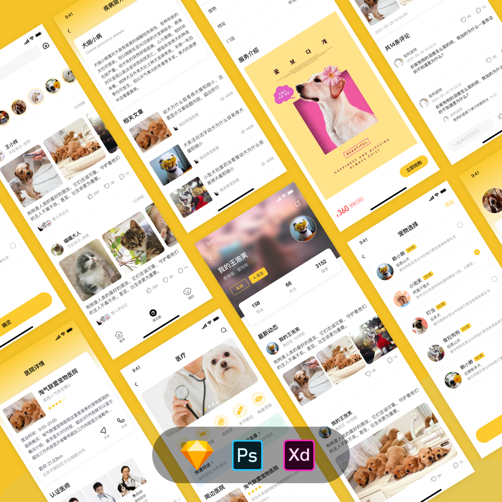宠物爱宠寄养社交服务类app应用小程序界面UI设计素材作品源文件-图0