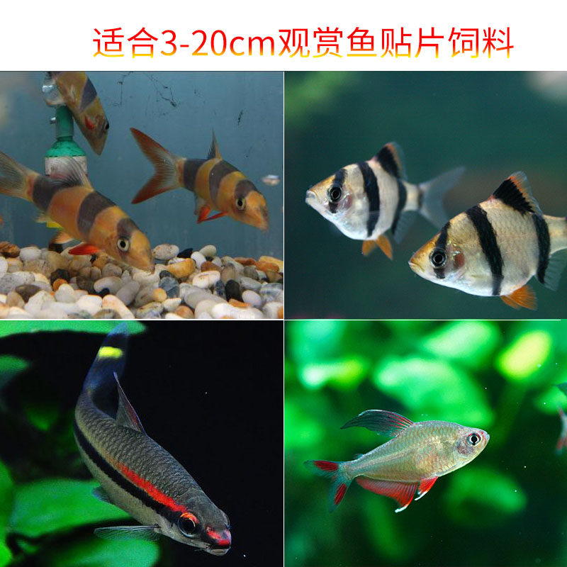 德国jbl贴片小型热带鱼饲料鱼粮 集千草水族观赏鱼饲料