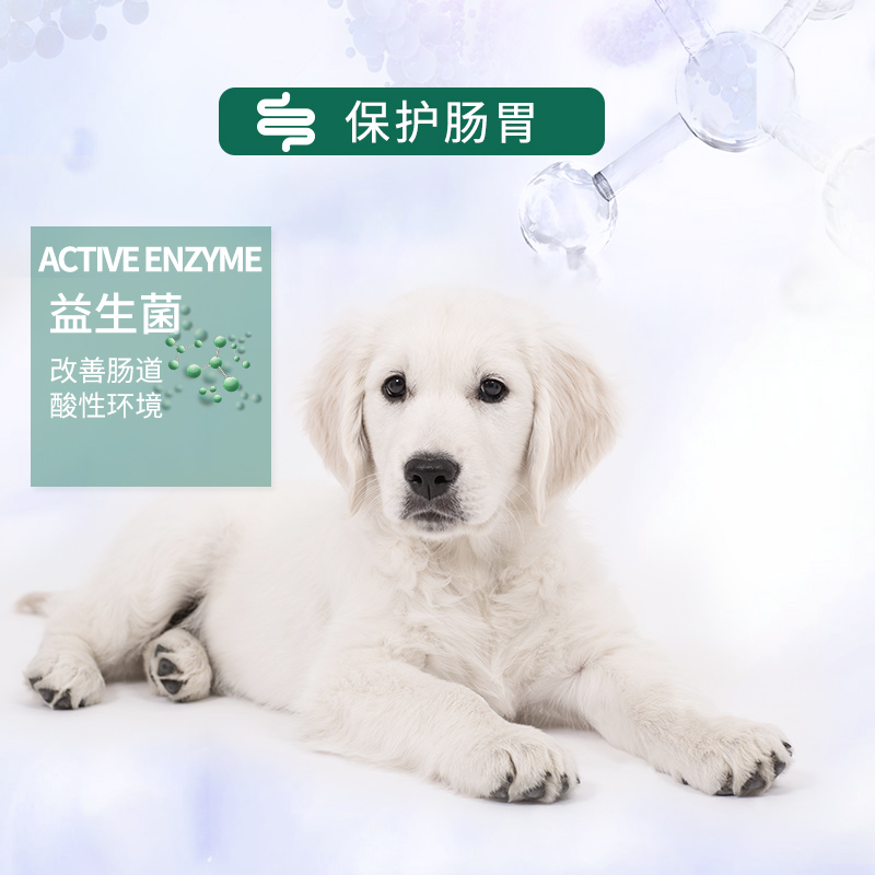 伊萨欧嘉狗粮低盐通用型成犬粮40斤金毛萨摩耶阿拉斯加边牧20kg - 图3