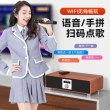 Shanshui home ktv audio singing machine