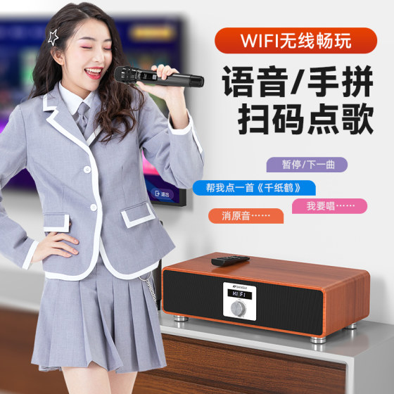Shanshui home ktv audio singing machine
