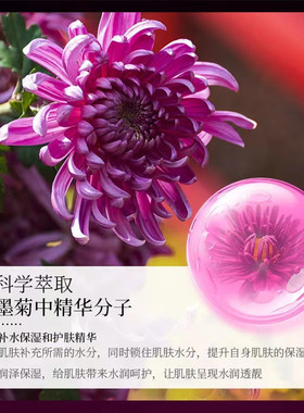 中老年妇女士妈妈护肤品套装盒水乳霜墨菊巨补水保湿擦脸化妆品正