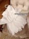 Summer ໃຫມ່ temperament ແອວ slimming tutu skirt
