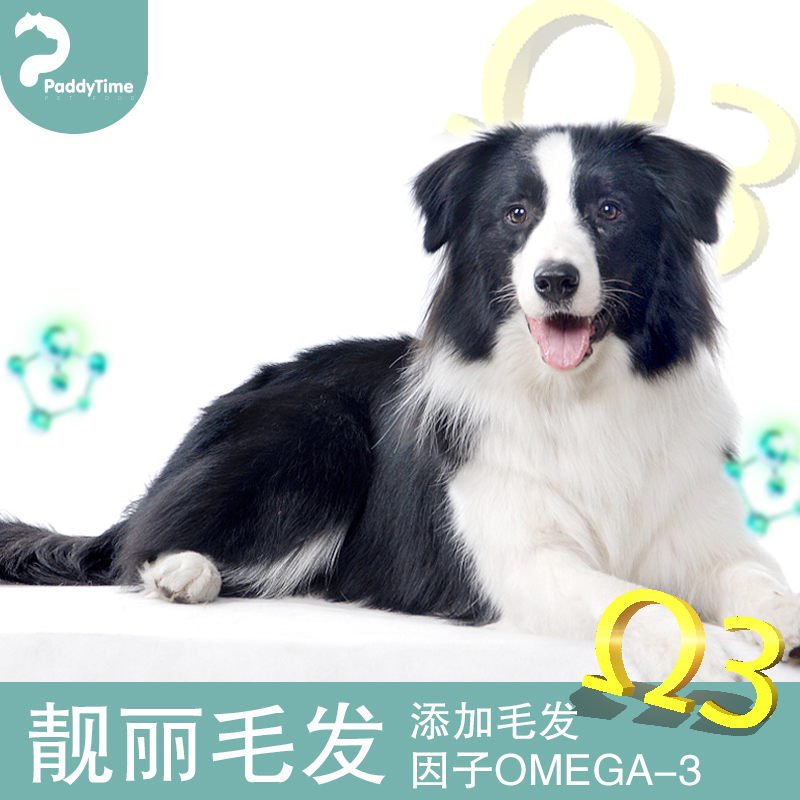 paddytime最宠狗粮 成犬34斤全犬种泰迪金毛通用型主粮17kg牛肉味 - 图1