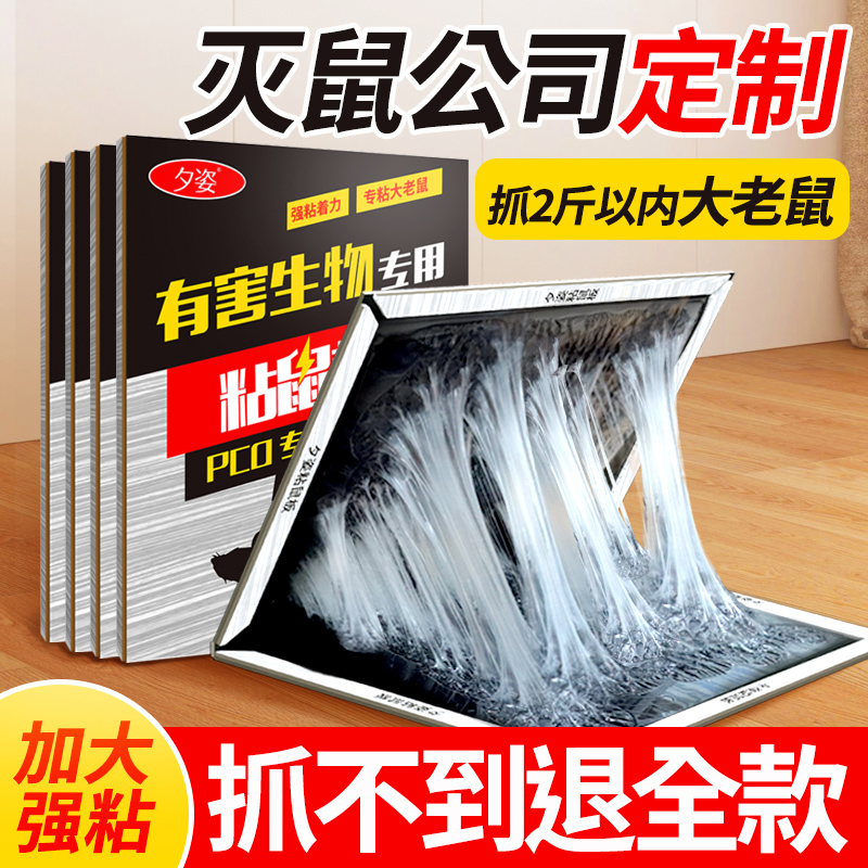 加大粘鼠板超强力粘鼠贴粘大老鼠抓捕引诱鼠笼老鼠夹家用捕鼠神器 - 图1