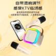 K12麦克风无线蓝牙音响变声k歌便携一体机KTV家庭套装儿童K歌音箱