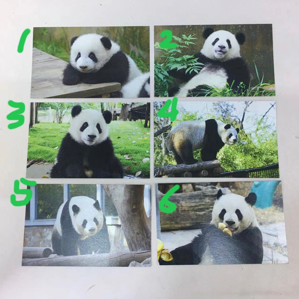 北京动物园代购新款大熊猫萌兰毛巾明信片冰箱贴文创周边旅游纪念 - 图0