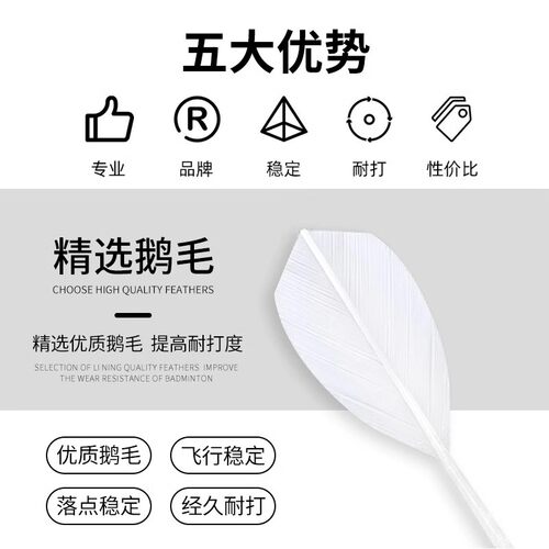 李宁羽毛球G200/G600/D8专业稳定耐打比赛鹅毛球休闲室内训练球 - 图2