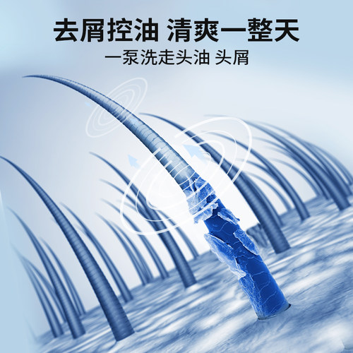 尊蓝洗发水男士专用洗头膏沐浴露套装去屑止痒控油蓬松持久留香液 - 图2