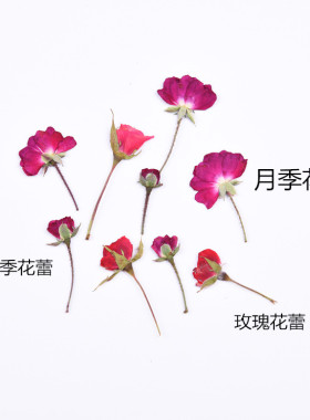侧压带枝滴胶手机壳儿童贺卡干花