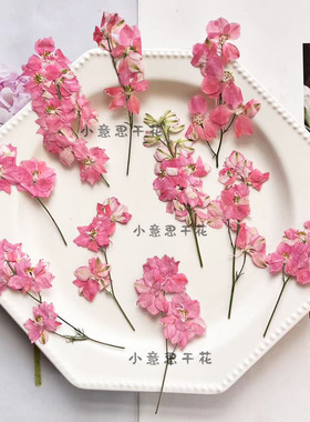 带枝千鸟飞燕干花手机壳天然植物