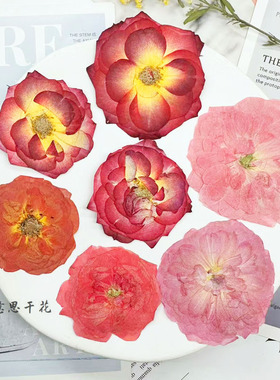 小意思玫瑰干花压花植物标本台灯