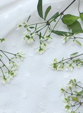 白雪干花植物标本手工滴胶