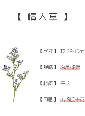 情人草干花压花diy美甲贺卡