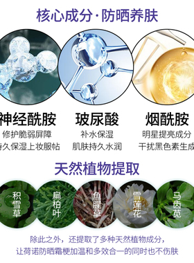 荷诺小白管韩国50+隔离防晒