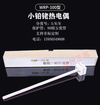 Special 0-1600 degrees for WRP-100S type small platinum rhodium thermocouple high temperature resistant thermocouple type Maver furnace experimental furnace