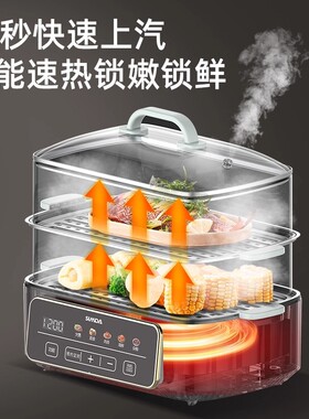家庭实用小家电不锈钢电蒸锅家用多功能三层大容量蒸箱电热火锅蒸