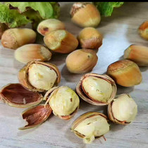 2023 nuts fresh and thin skin rind without green leather water North East special produce original taste great hazelnut pregnant woman snacks