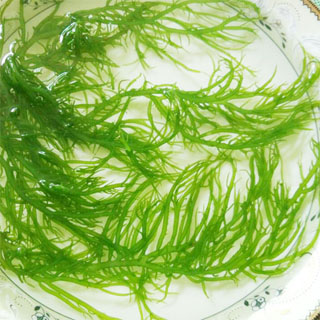 盐渍龙须菜海草海菜5斤新鲜食用海藻菜凉拌菜串串麻辣烫火锅食材-图2